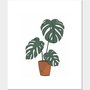 Minimalist monstera plant Posters and Art